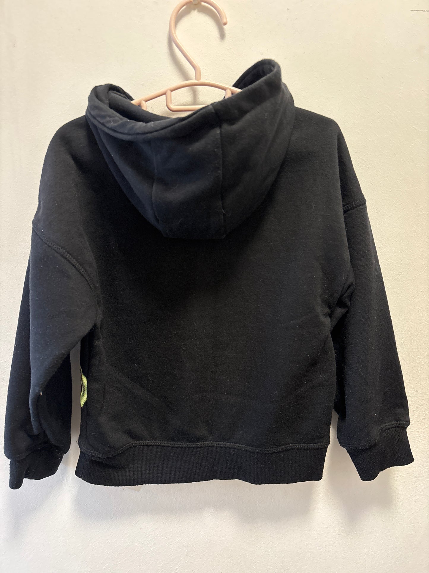 5-6y: Dinosaur Hoody