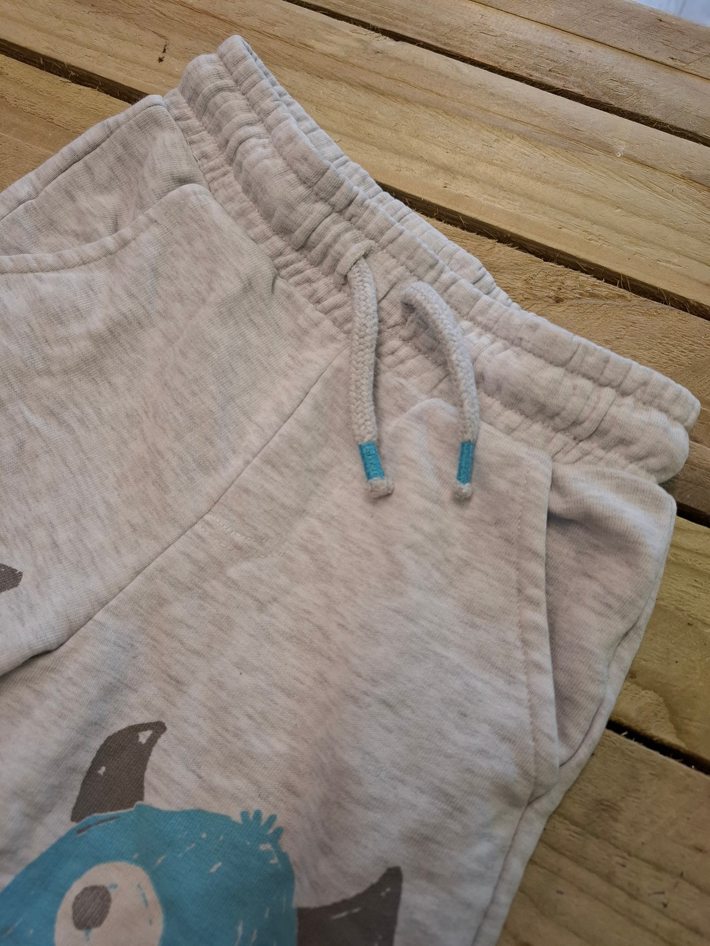 2-3y: Monster Jersey Shorts