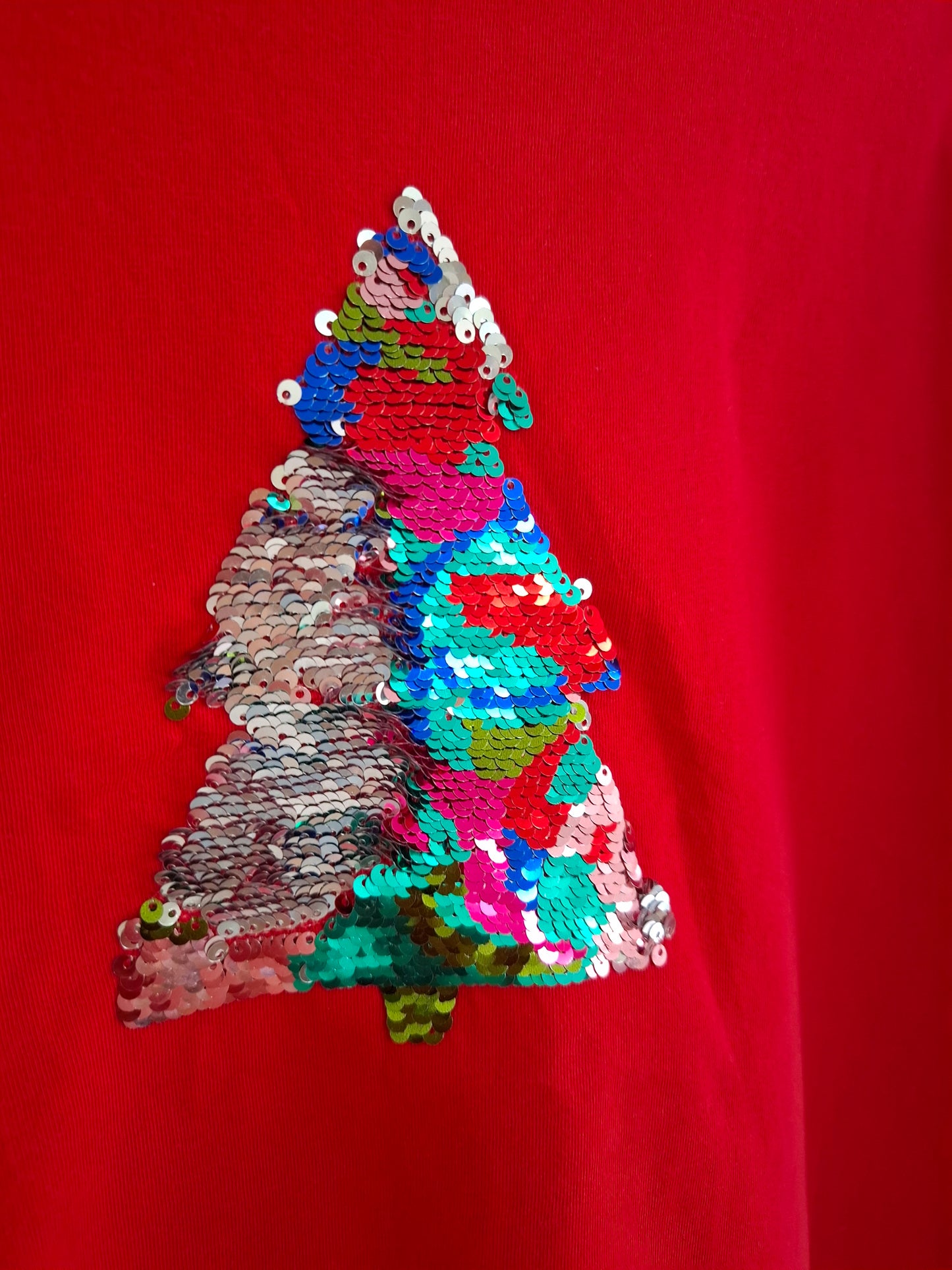 10y: Next Long Sleeved Top