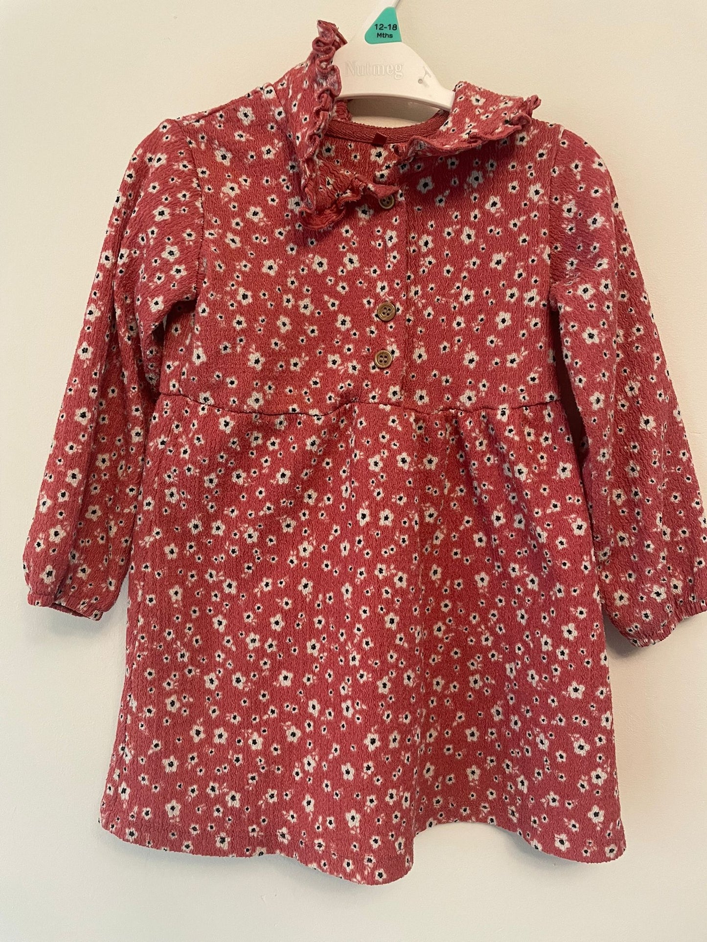 12-18m: Ditsy Dress with Peter Pan Style Collar