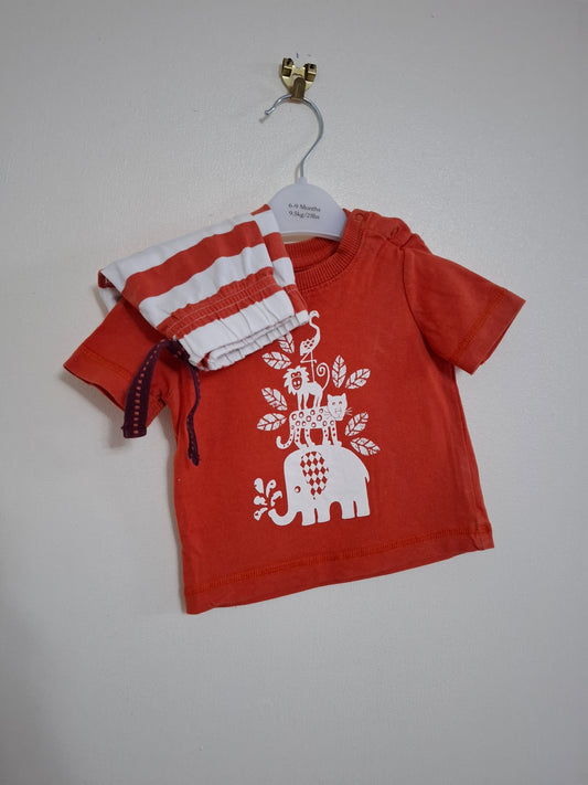 3-6m: Matching Cotton Shorts Set (burnt orange colour)